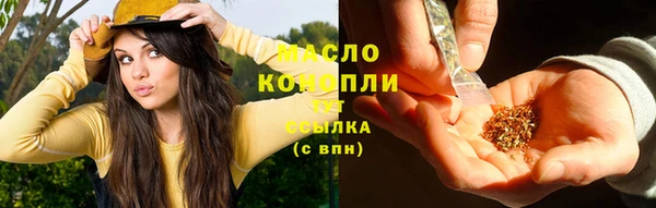 гидра Кулебаки