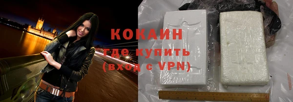 сатива Куйбышев