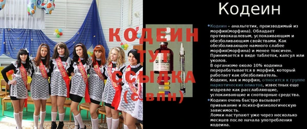гидра Кулебаки