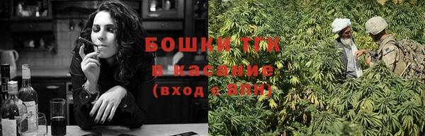сатива Куйбышев