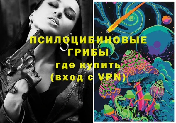 гидра Кулебаки