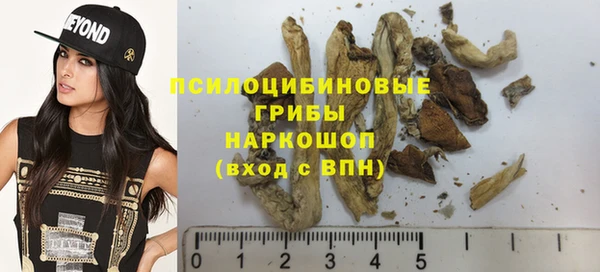 гидра Кулебаки