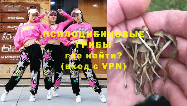 a pvp Кукмор