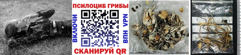 Псилоцибиновые грибы Magic Shrooms  Дербент 