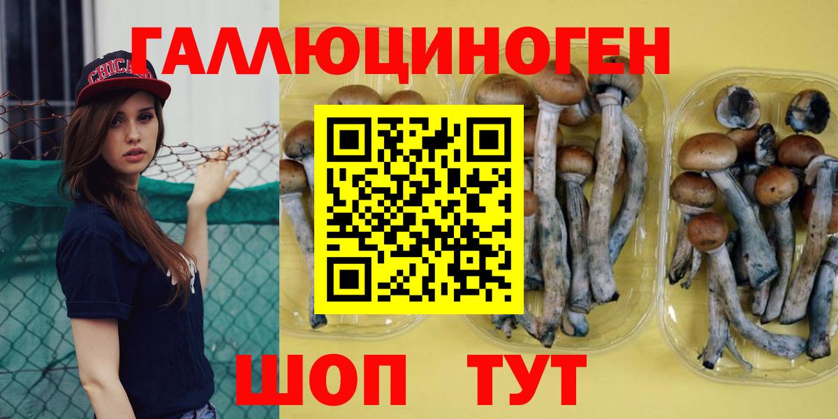 Псилоцибиновые грибы мицелий  Вход с VPN  Дербент 