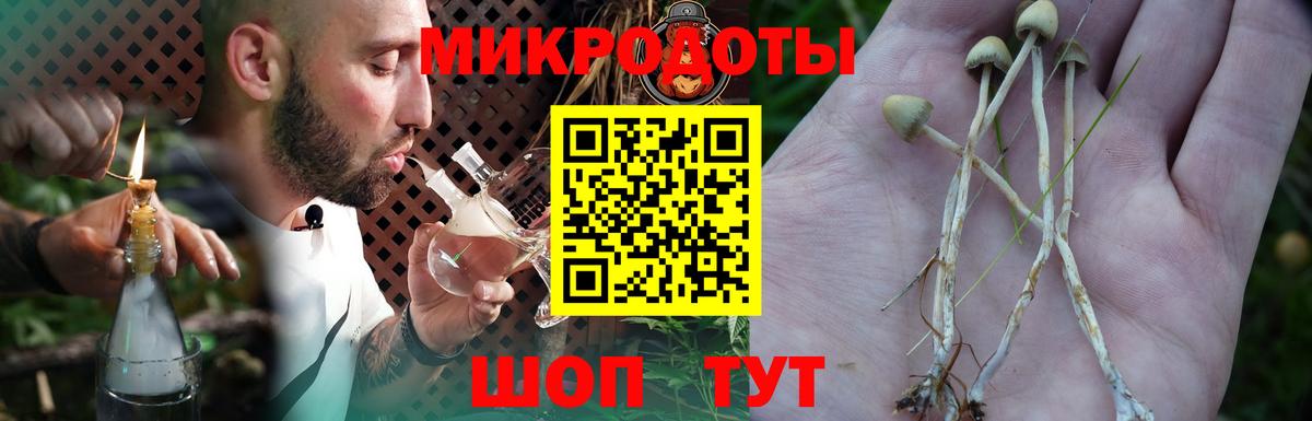 Псилоцибиновые грибы MAGIC MUSHROOMS  Дербент 